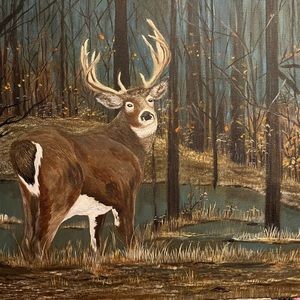 Whitetail original painting on canvas painted in acrylics 18 x 24  by Leah Smith